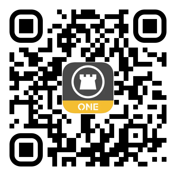 Chicago Agent One Website